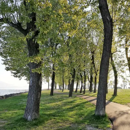 Oda ve Kahvaltı Casapatrizia