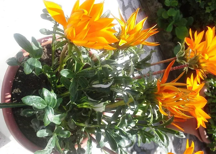 Bed & Breakfast Casapatrizia Sirmione