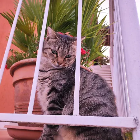 Bed & Breakfast Casapatrizia Sirmione