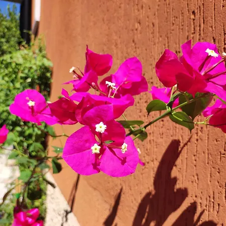 Bed & Breakfast Casapatrizia